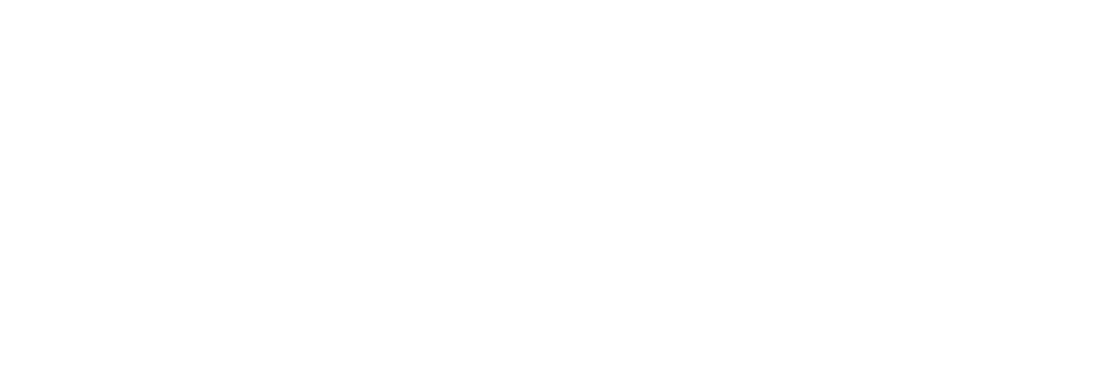 P.I.N Logo